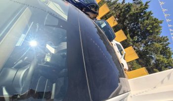 TESLA MODEL 3 STANDARD RANGE PLUS 60 KW AUT 2019 lleno