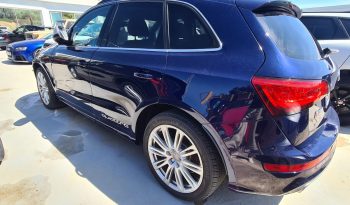 AUDI SQ5 3.0 TDI 3131 CV QUATTRO TIPTRONIC 2014 lleno